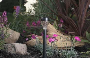 Moonrays Solar Stake w/Plastic Lens